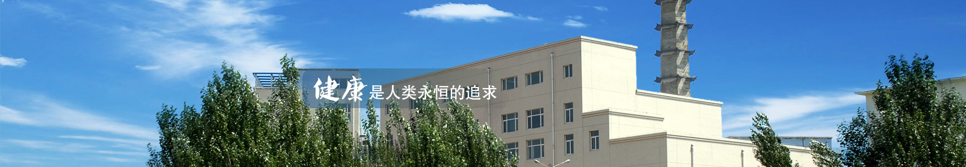 企業(yè)概況